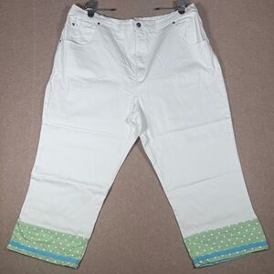 Quacker Factory pants Jeans 2X